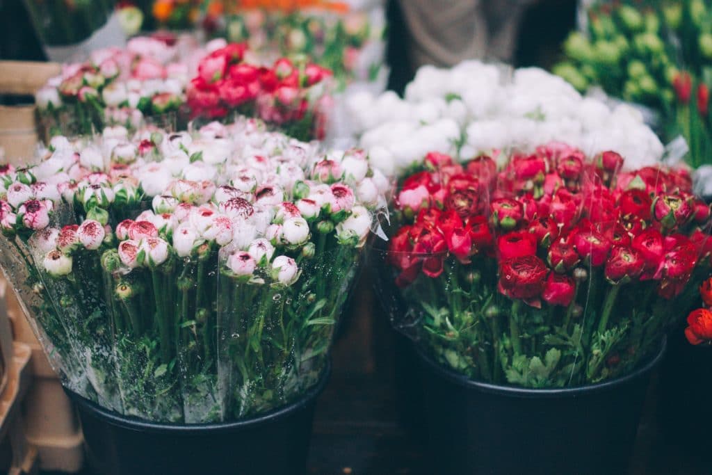 french riviera - Flower Market