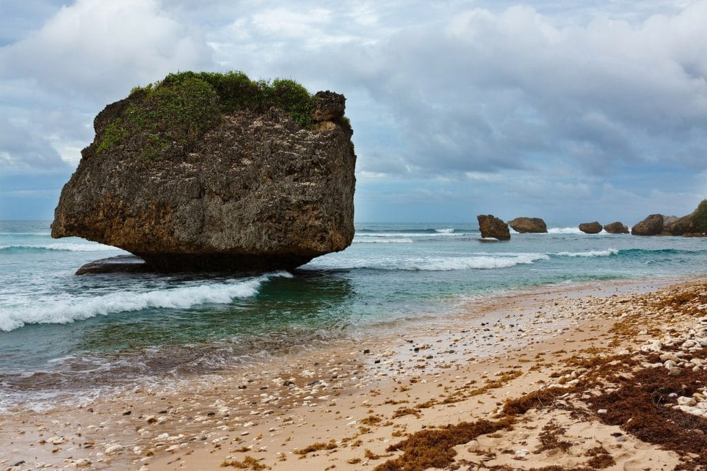 caribbean islands - Barbados