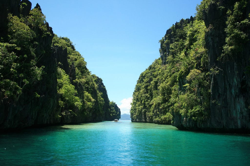 Palawan Island - blooming mountains