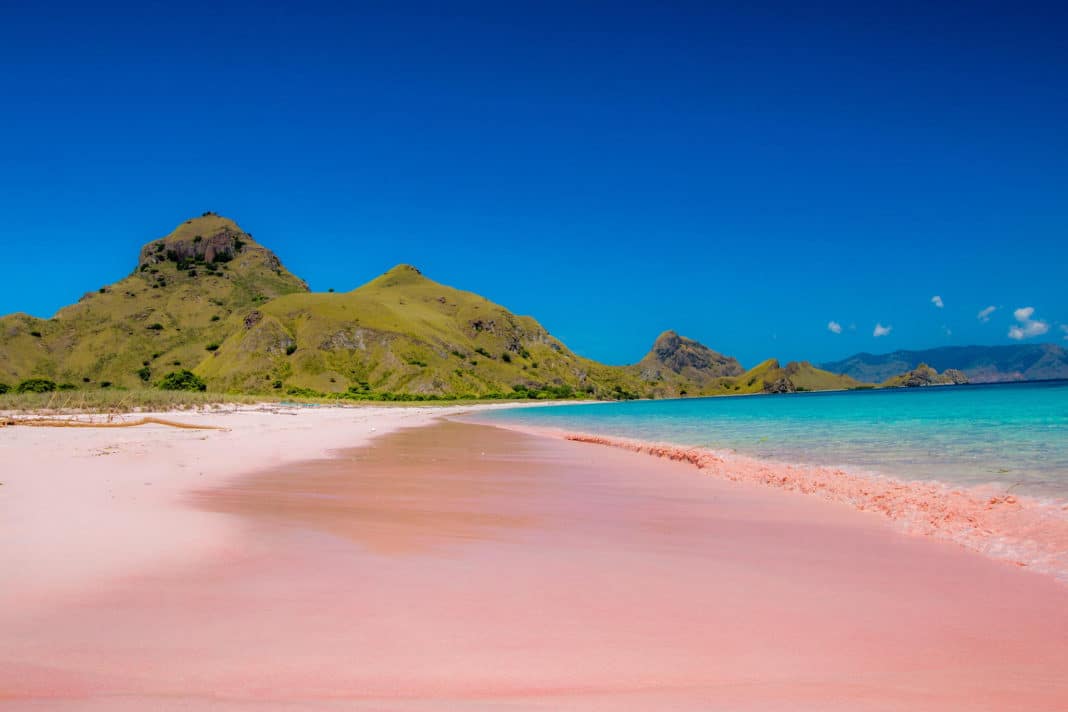 Pink Sand Beach Destinations Around the Globe