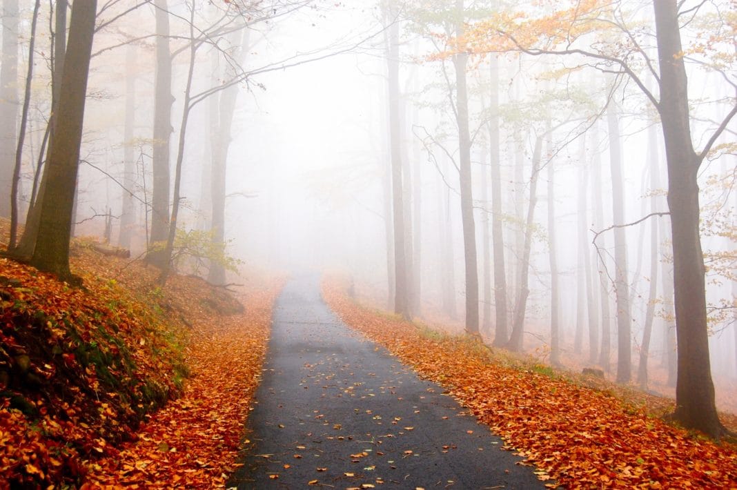 first day of fall - Refreshing Air