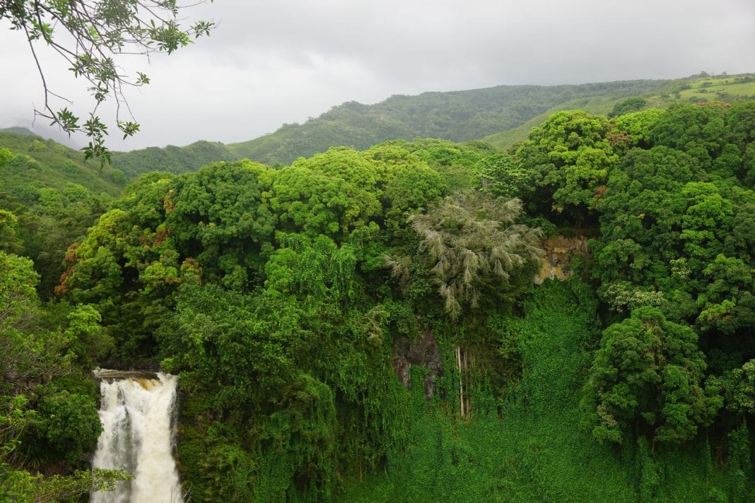 Visit Haleakala National Park