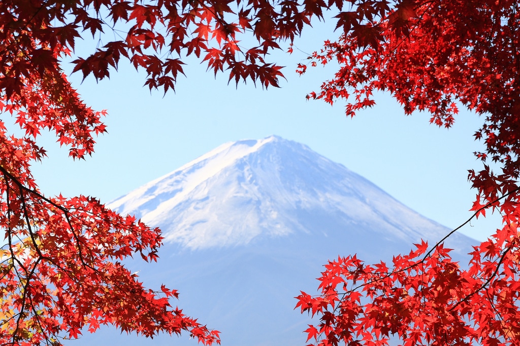 Why You Should Visit Japan This Autumn