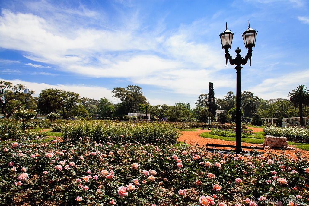 things to do in buenos aires - Smell the Roses