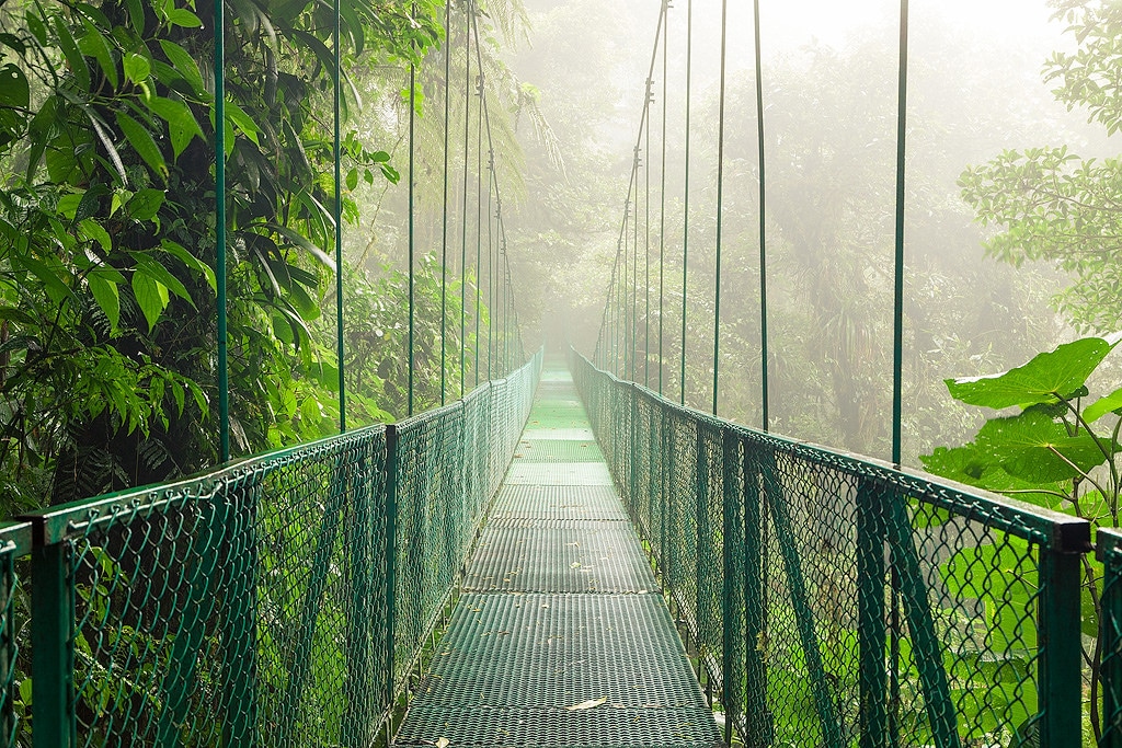 Monteverde Cloud Fores