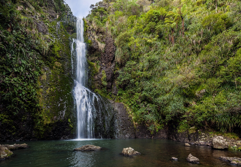 things to do in auckland - Waterfall