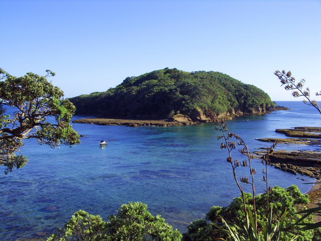 things to do in auckland - Goat Island