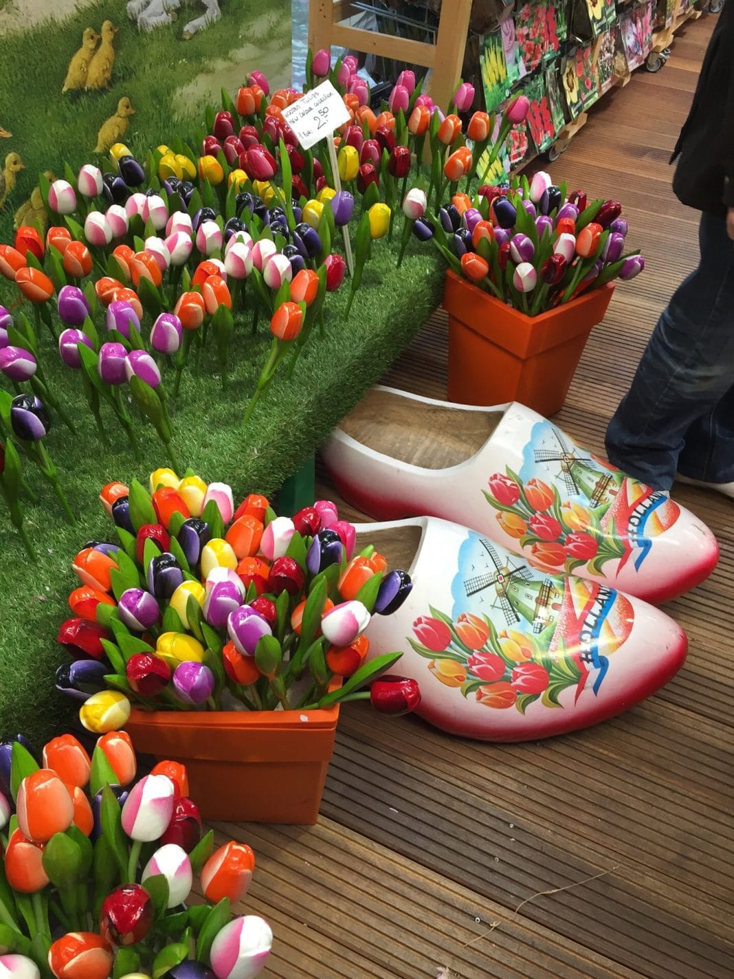 things to do in amsterdam - tulips