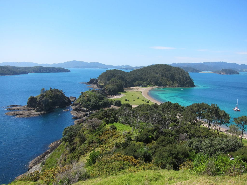 New Zealand Nature Handiwork 