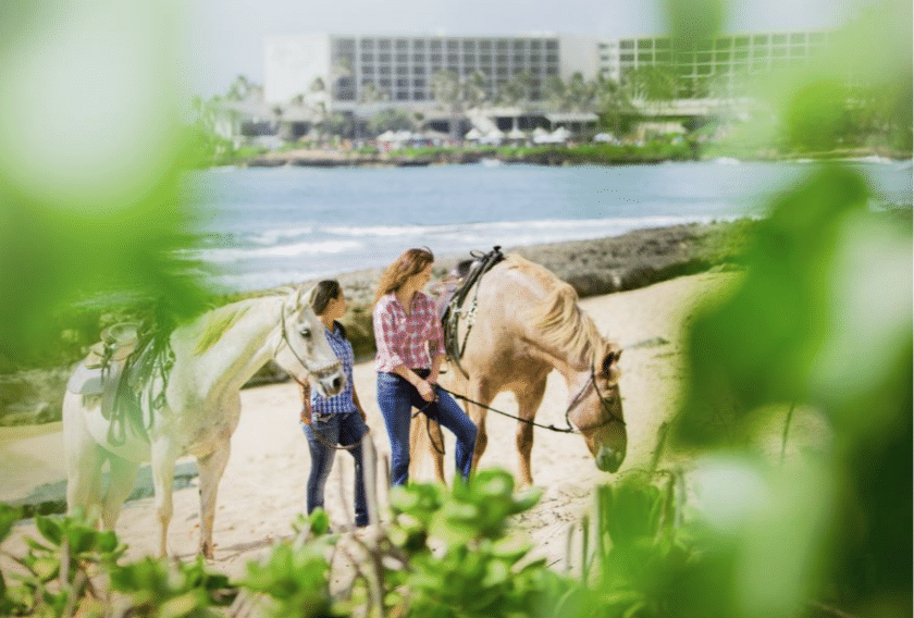 Turtle Bay Resort - Horseback Riding