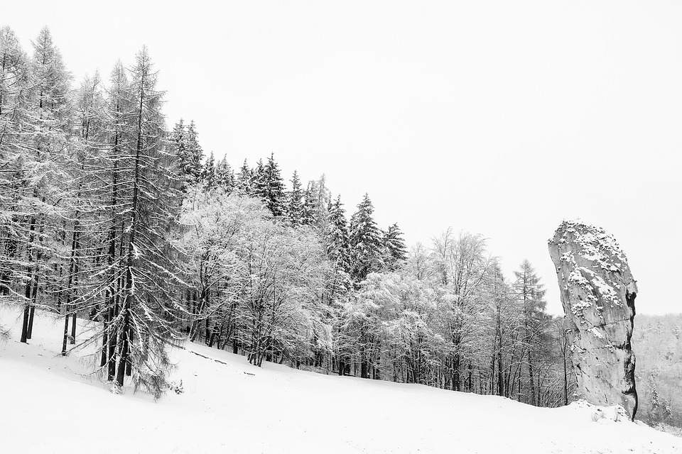 Poland - Winter traveler