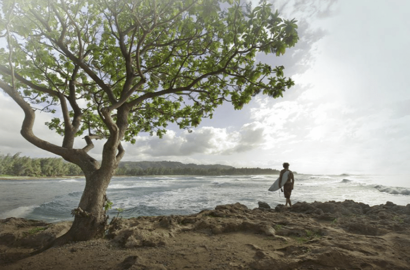 Turtle Bay Resort - Surf