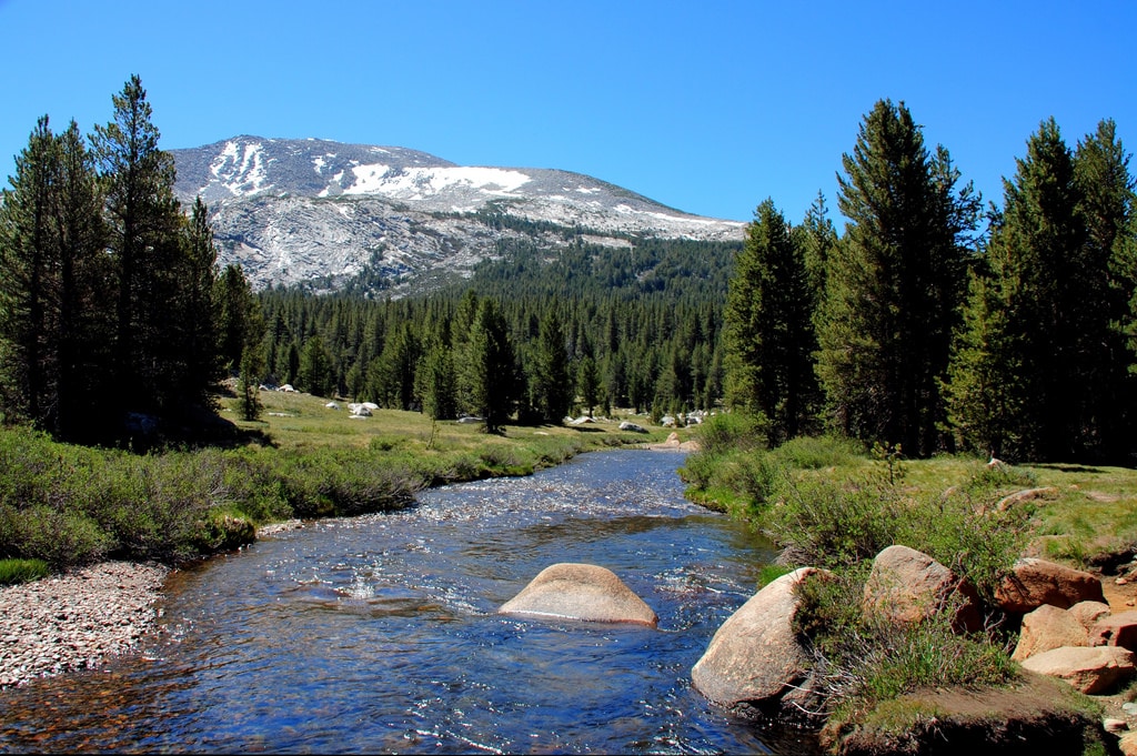 national parks in California - Yosemite