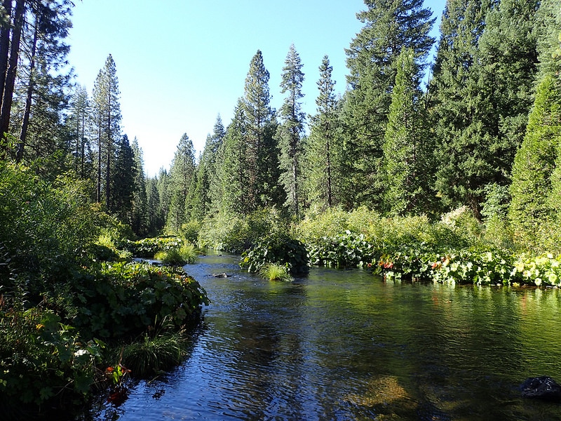 national parks in California - Shasta-Trinity