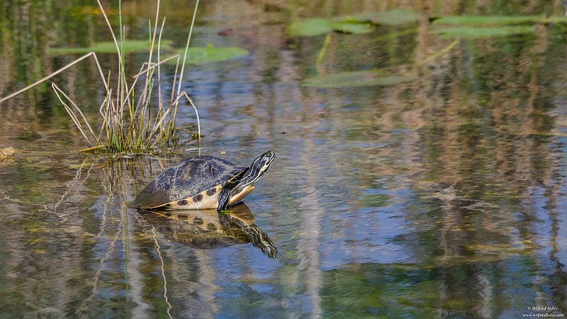 Everglades National Park