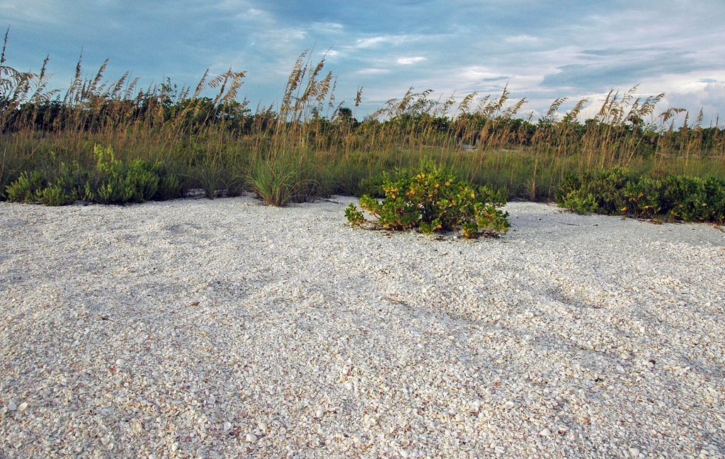 Sanibel Island, Florida