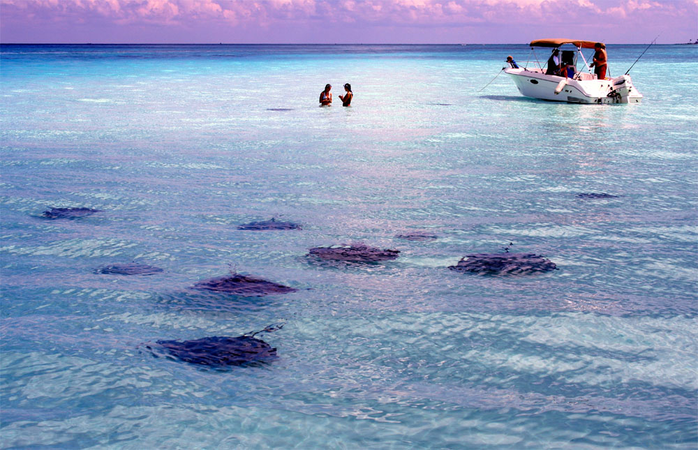 things to do in grand cayman