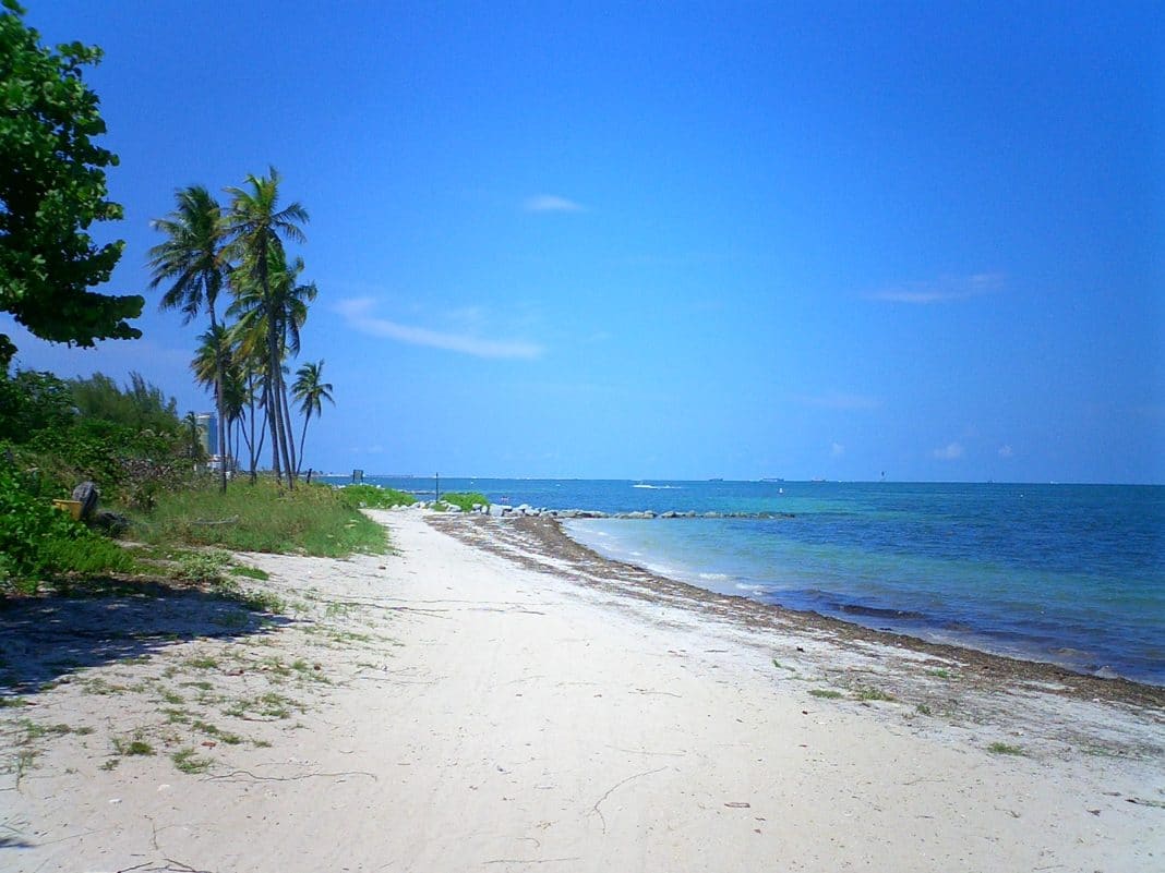 Virginia Key Beach