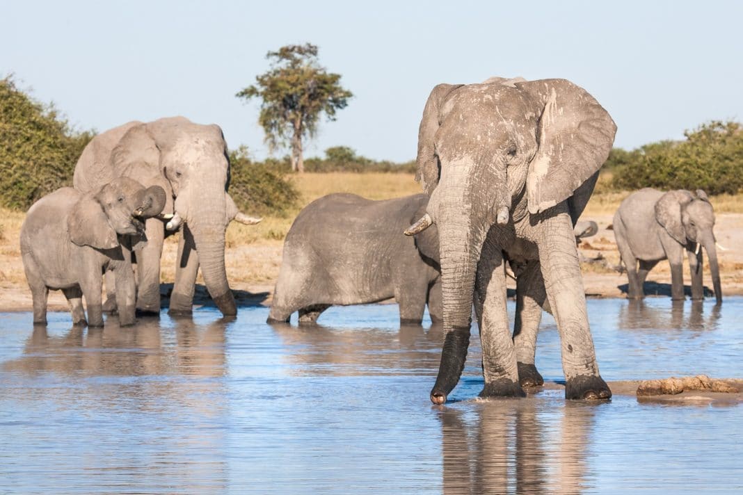 best places to visit in april - Botswana