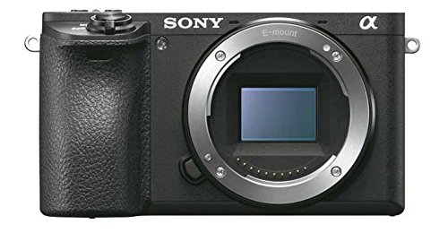 best travel cameras - Sony A6500