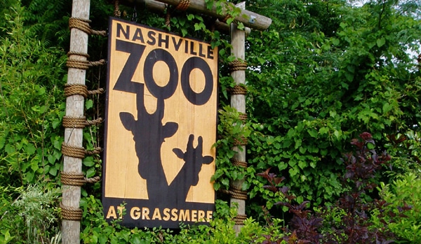 things to do in nashville - Nashville Zoo