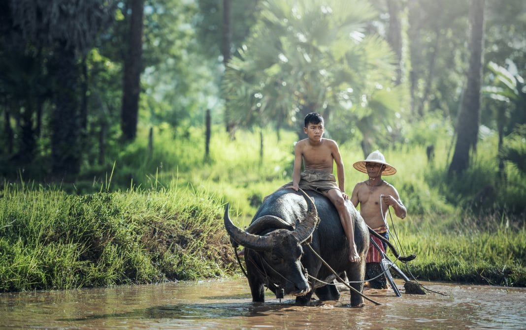 Cambodia