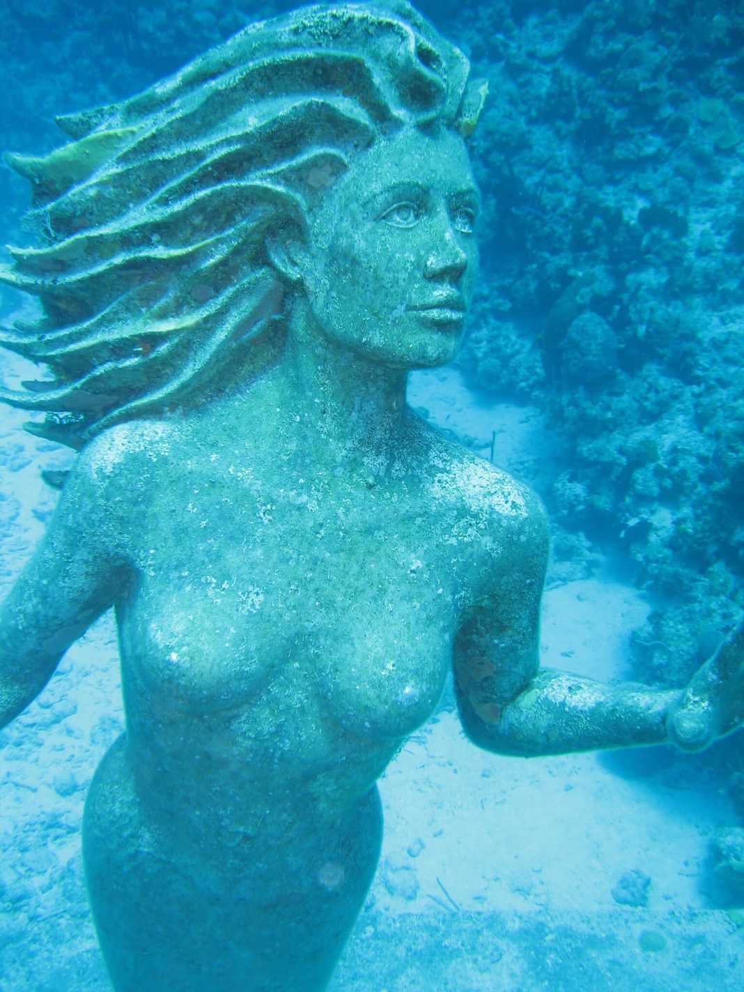 the cayman islands - Amphitrite Mermaid