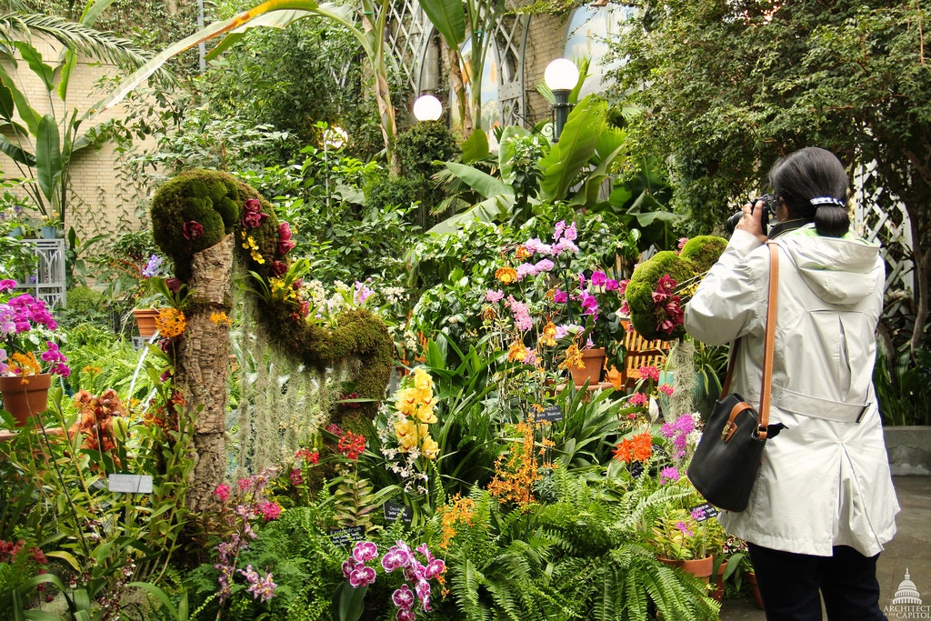 Lush Green Botanic Garden