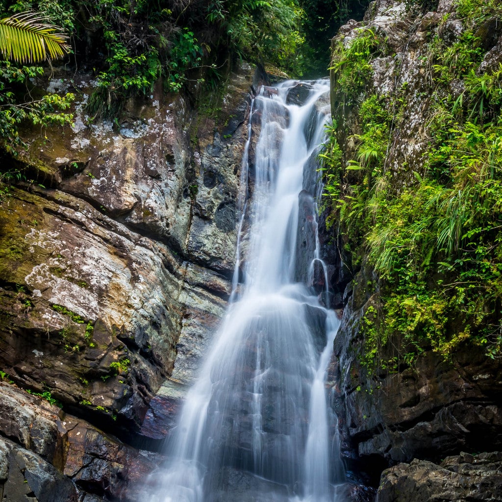 El Yunque National Rainforest