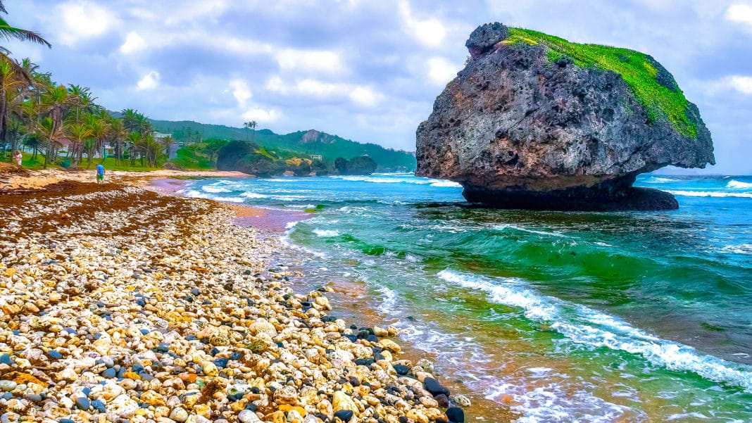 Bathsheba Beach