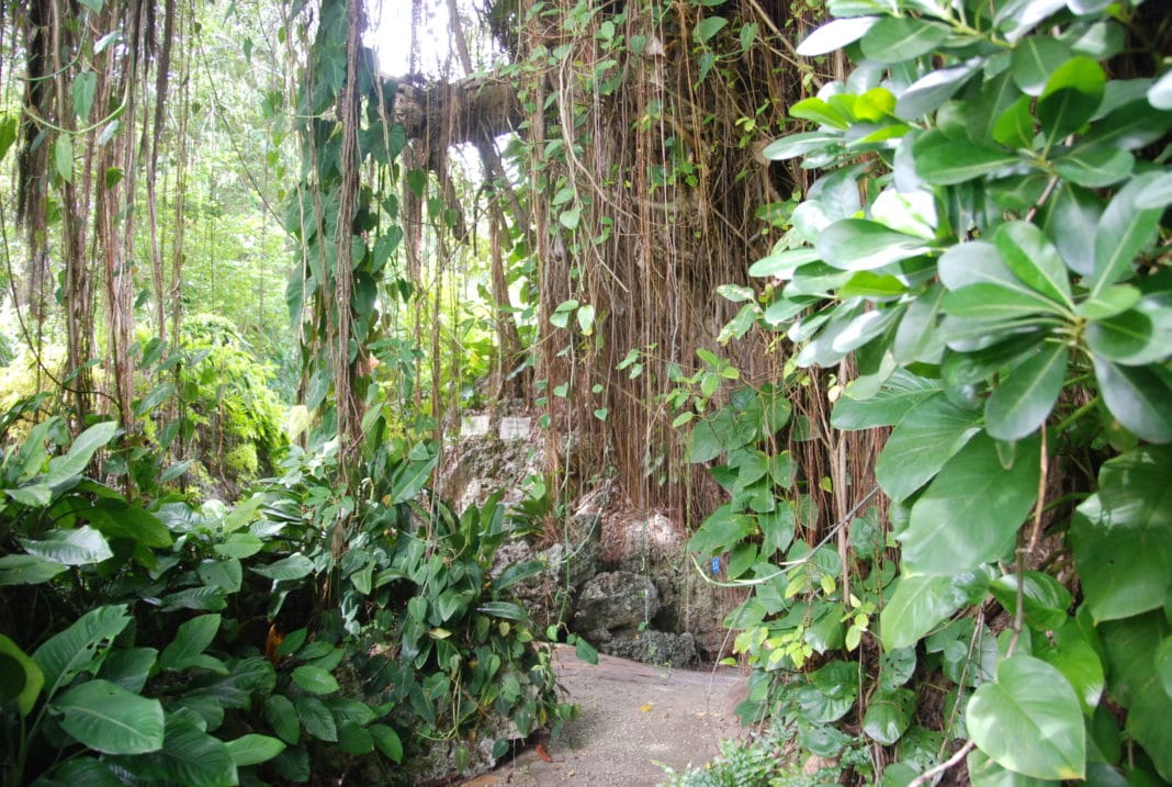 Hunte’s Gardens