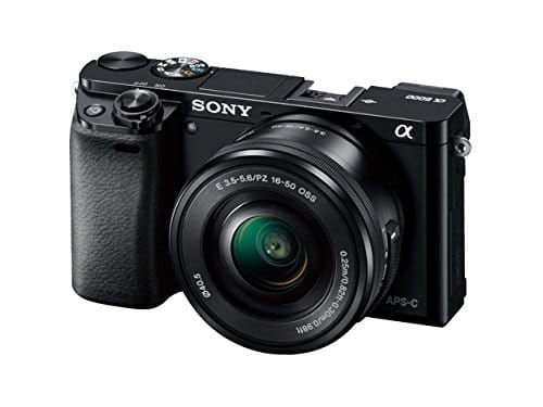gifts for travelers - Sony Alpha a6000 Mirrorless Camera