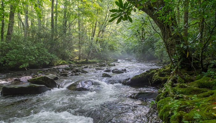 North Carolina: Nantahala River