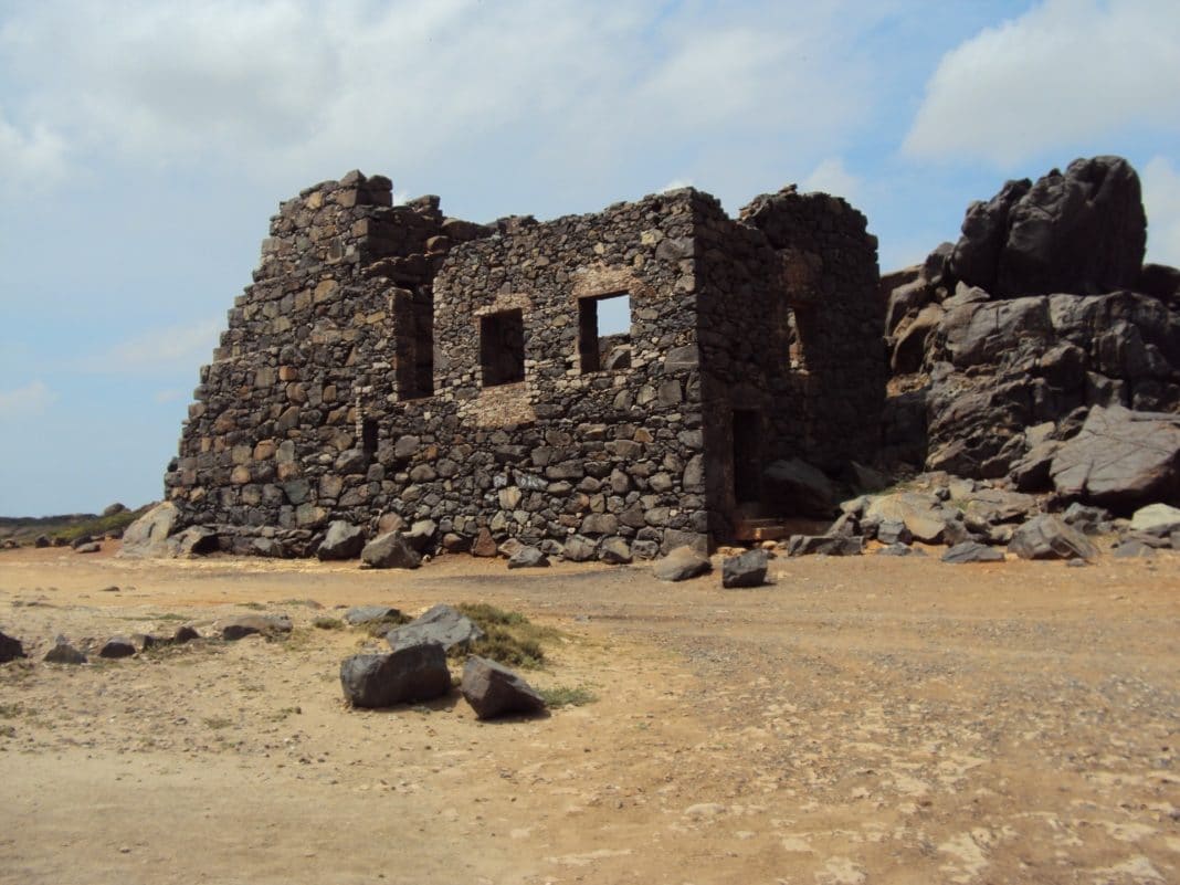 things to do in aruba - natural history