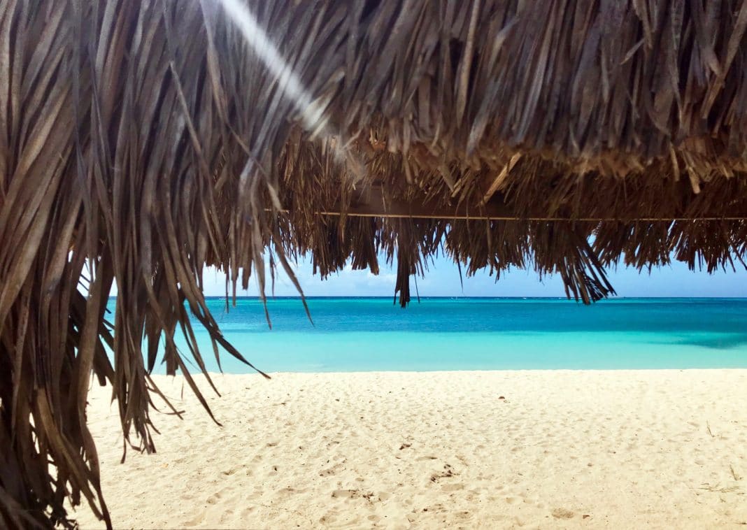 Things To Do In Aruba: Your Paradise Awaits  Trekbible