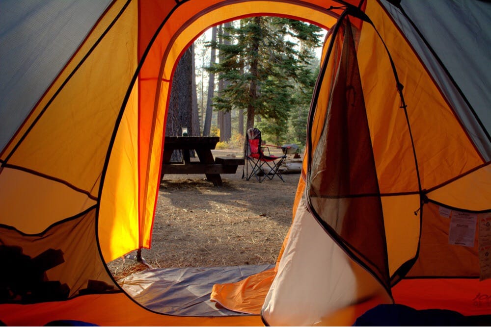 Pet-Friendly Lake Tahoe Camping