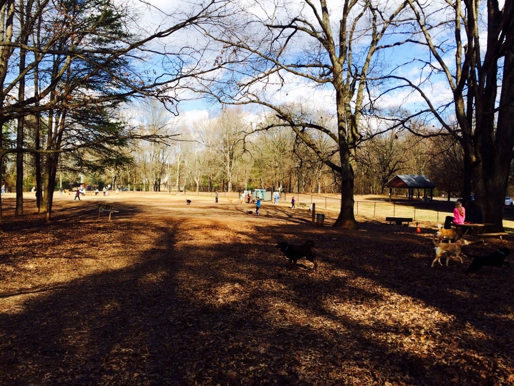 Reedy Creek Park & Nature Preserve