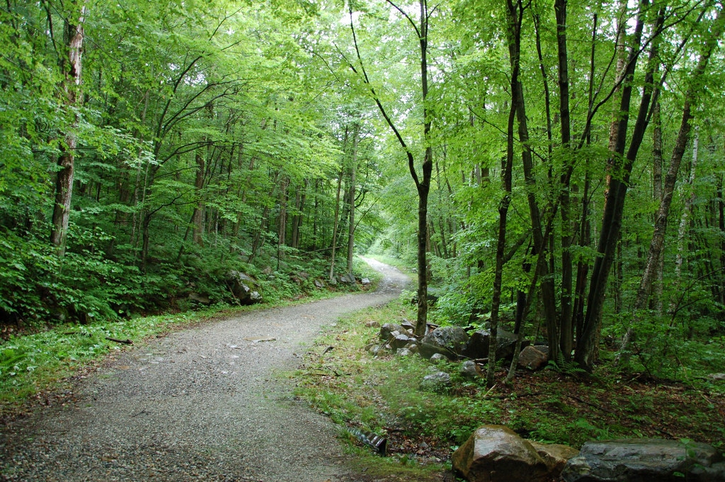 Green Mountain National Forest