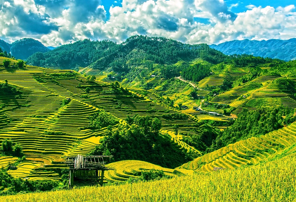 Mu Cang Chai, Yen Bai, Vietnam