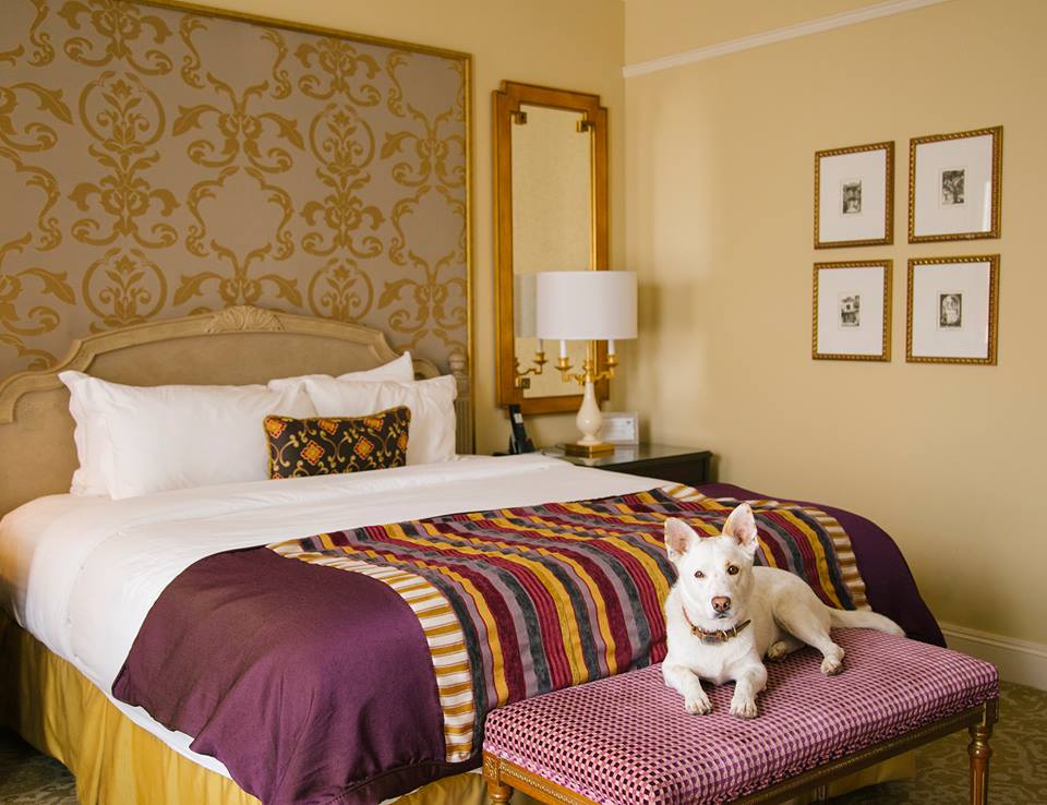 Ritz Carlton New Orleans - Rooms