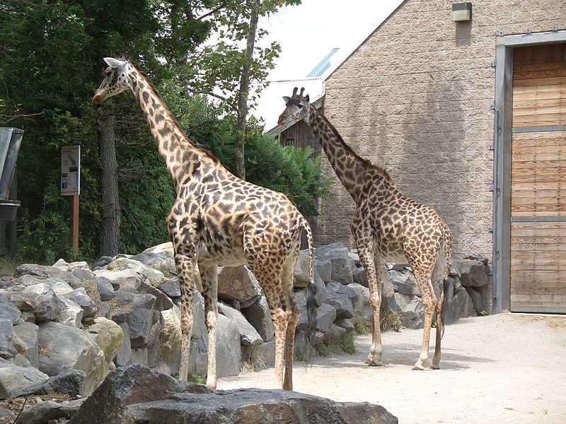 Zoo in Roger Williams Park