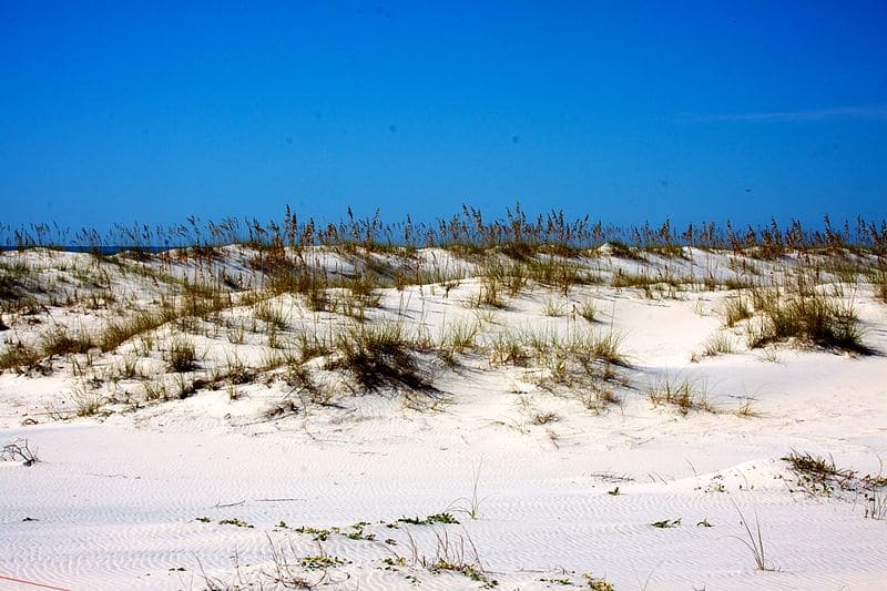 beaches in Alabama - Bon Secour National Wildlife