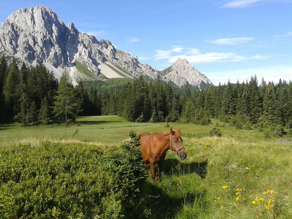 Friuli-Venezia Giulia