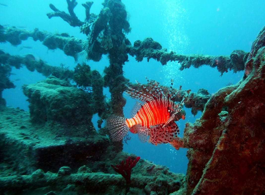 Titanic - undersea tour