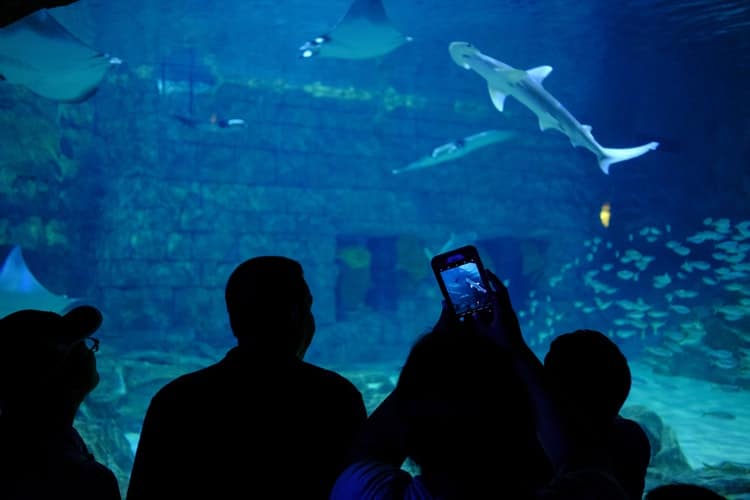 Monterey Bay Aquarium