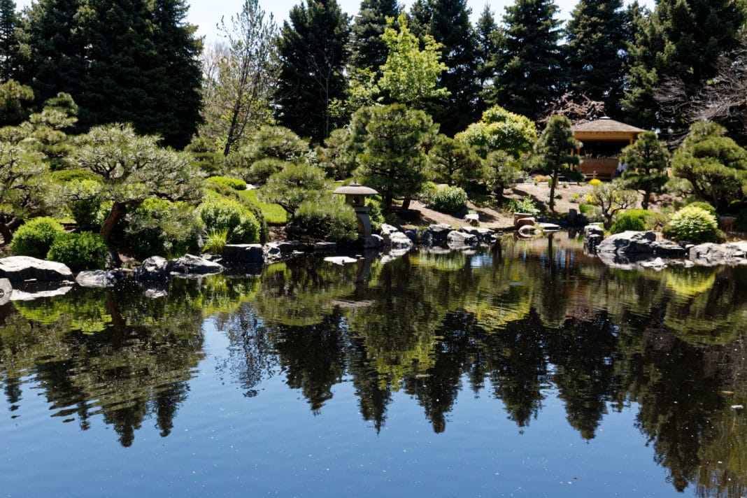 things to do in denver - Botanical Garden