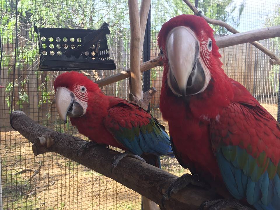 Henry Doorly Zoo and Aquarium