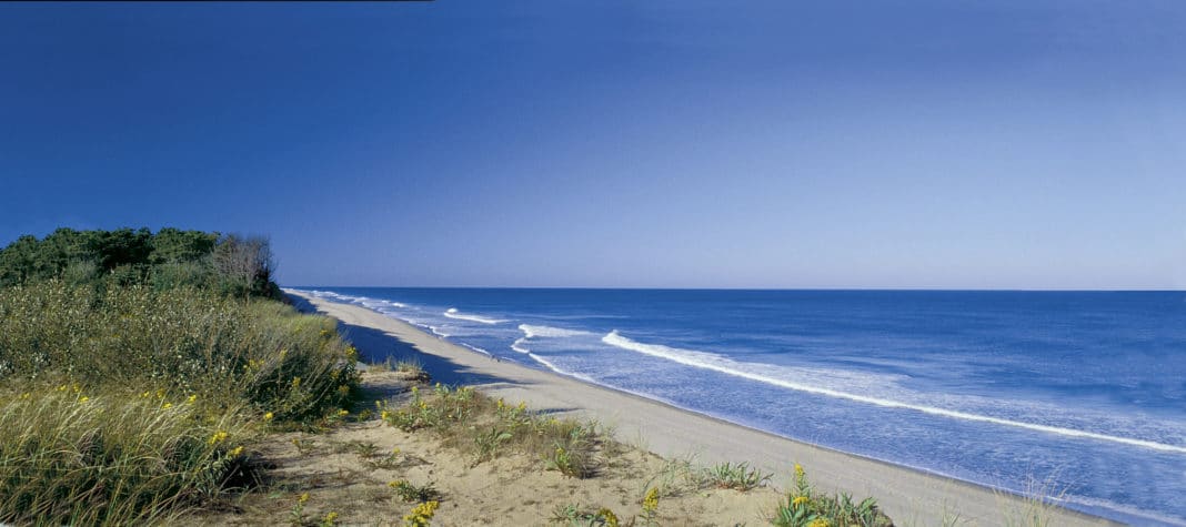 cape cod beaches - Coast Guard