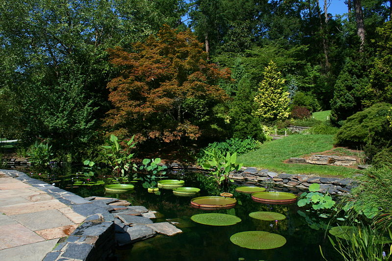 Sarah P. Duke Gardens