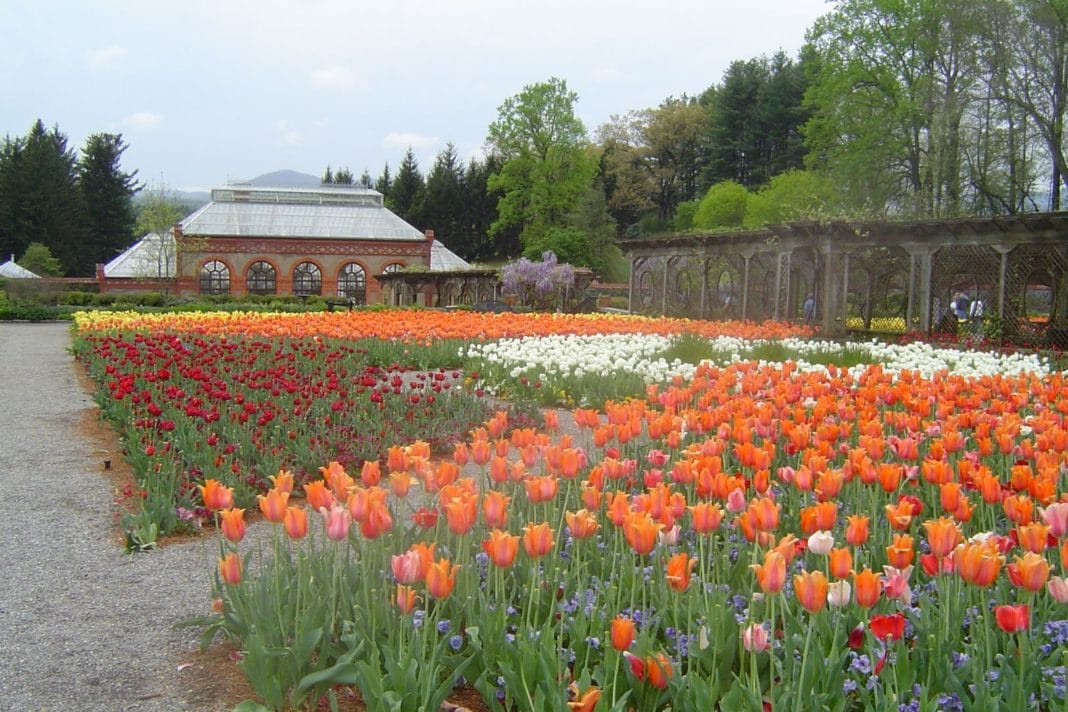 things to do in north carolina - Biltmore Gardens